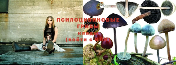 таблы Нея